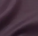 Eggplant