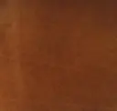 Nutmeg