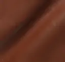 Cinnamon