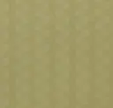 Leek