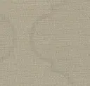 Pale Taupe
