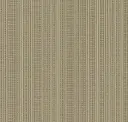 Timeless Taupe
