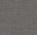 Tarnished Silver
