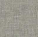 Silver Mesh
