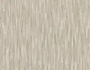 Sugarcane