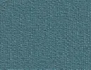Eurasian Teal