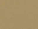 Champagne Gold