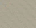 Topography