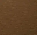 Bengal Bronze