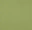 Wasabi