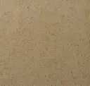 Rapunzel's Gold