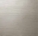 Storm