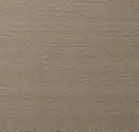 Dorsal