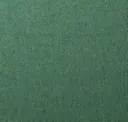 Spearmint
