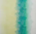 Vivid Cloud