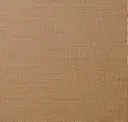 Gazelle