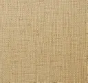 Antique Ivory