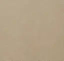 Parchment