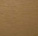 Gold Record