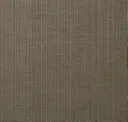 Taupe Tempo