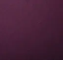 Prickly Purple