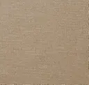 Shimmering Canvas