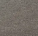 Graceful Gray