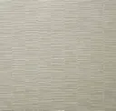 Plaster