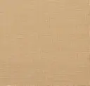 Rich Canvas