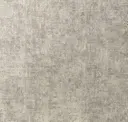 True Silver