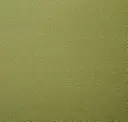 Viridian
