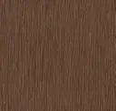 Fossil