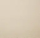 Plaster