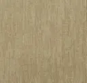 Maize