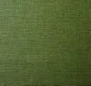 Fern