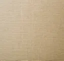 Raw Silk