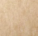 Stardust
