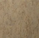 Iron