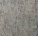 Alloy