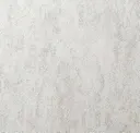 Polished Pearl