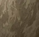 Bronzite