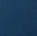 Zestful Blue