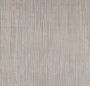Dove Grey
