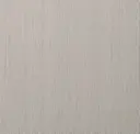 Blizzard