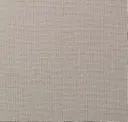 Vivid Taupe
