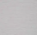 Sleet