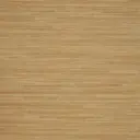 Sahara