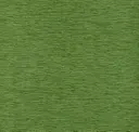 Grasshopper