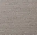 Silver Screen
