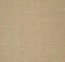 Raw Silk